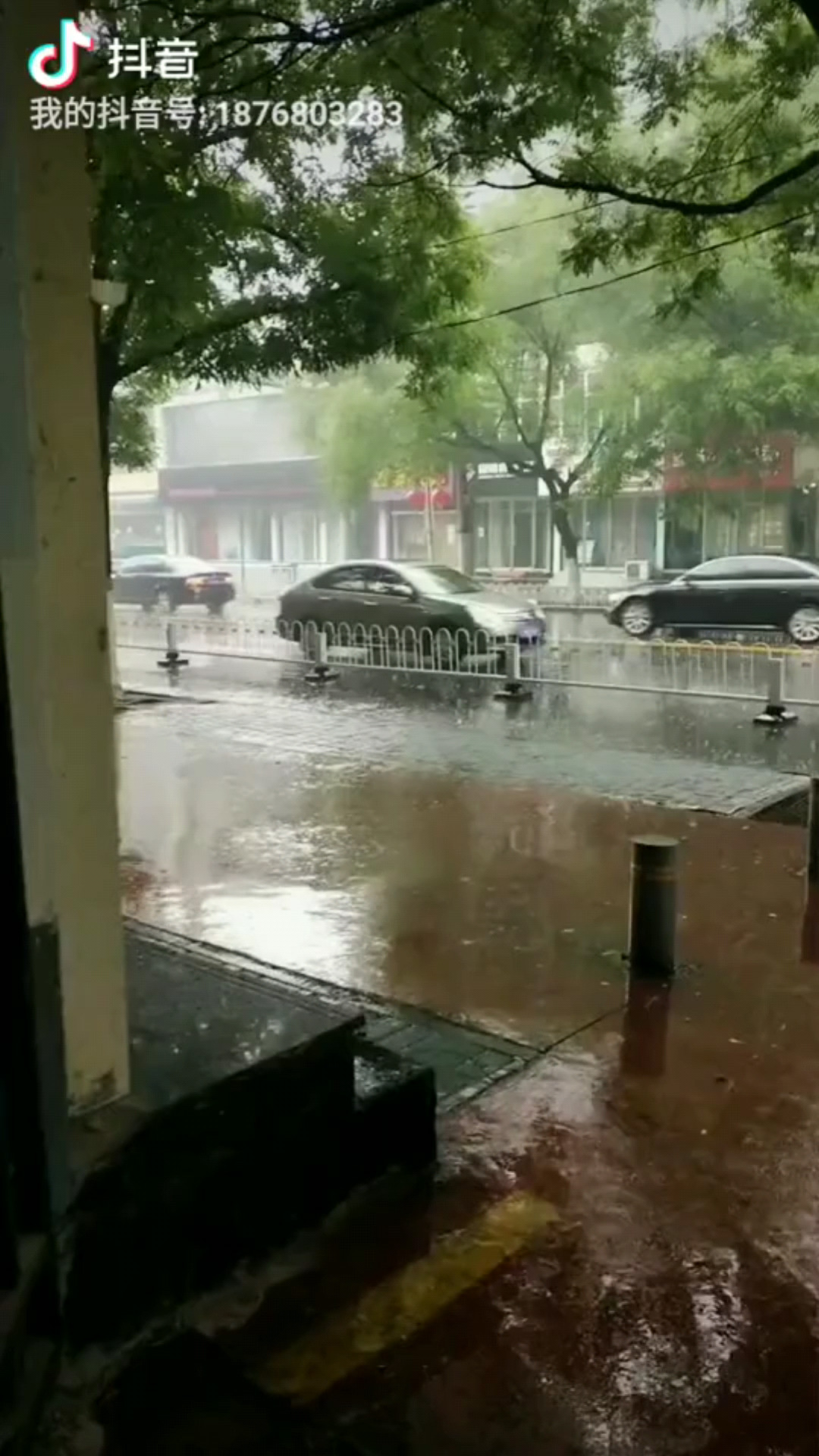 我的城市下雨了