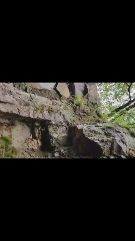 背冰柜