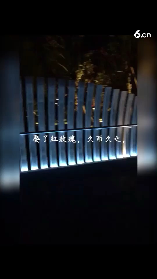 男人一生至少会拥有2朵玫瑰