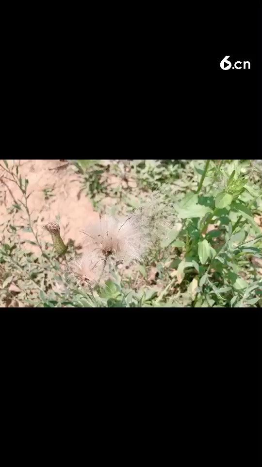 依旧是小时候的模样