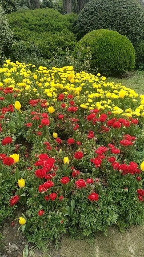 美丽的风景线