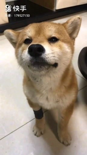 成精了
