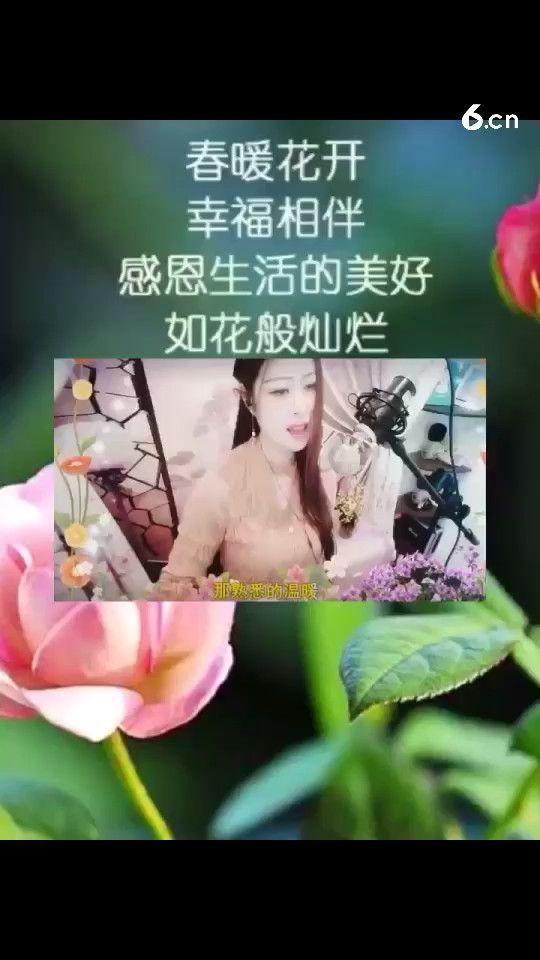 歌曲 天使的翅膀