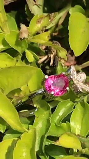这颗颜色好，火彩好