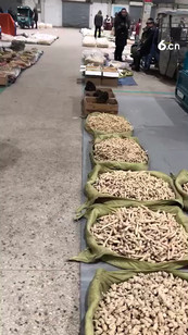 世家上最大的人参交易市场长白山