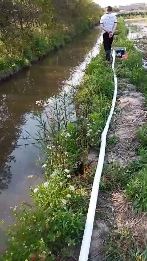 正在抽水， 旁边龙虾洞蛮多的