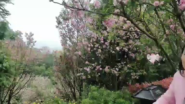 贵州，桃花湾湾