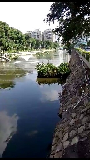 霸王别姬