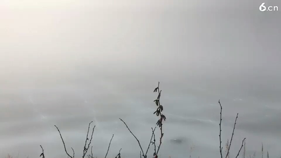早上好