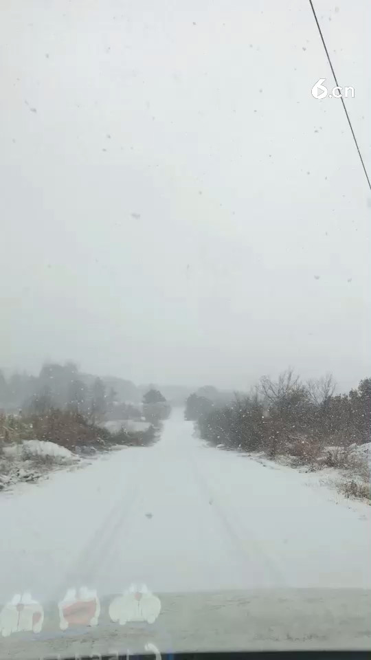 丰年好大雪