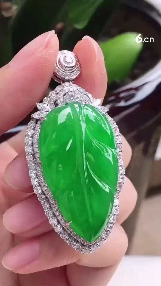 金枝玉叶