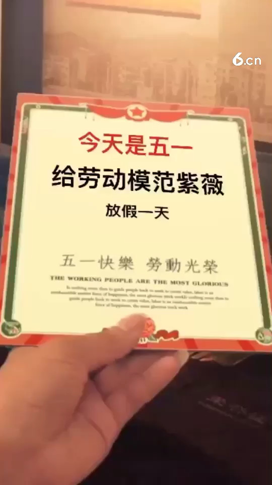 紫薇㊗️大家节日快乐🎈