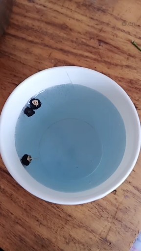 这样色的开水你敢不敢喝？