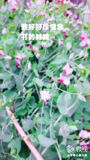 冒个泡泡哈