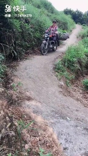 老妹你真美