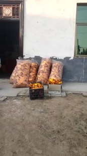 佛法无边，有事加微哦