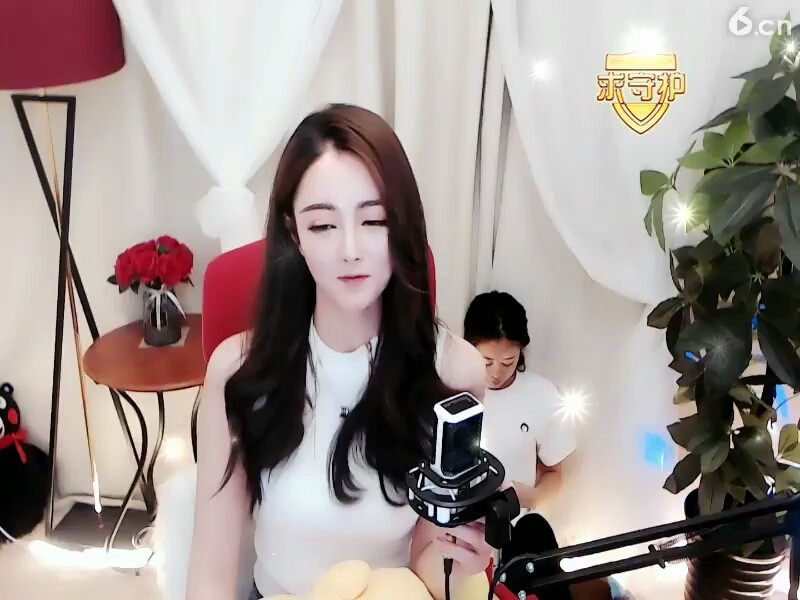 Sdd