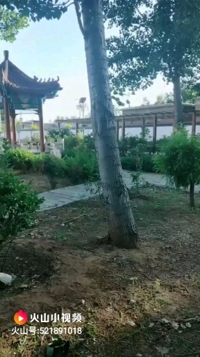 风景美吗？
