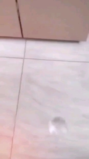 伤过的心
