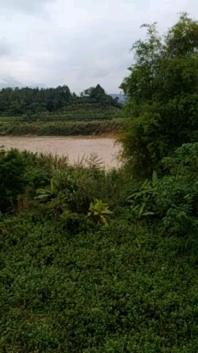 河畔