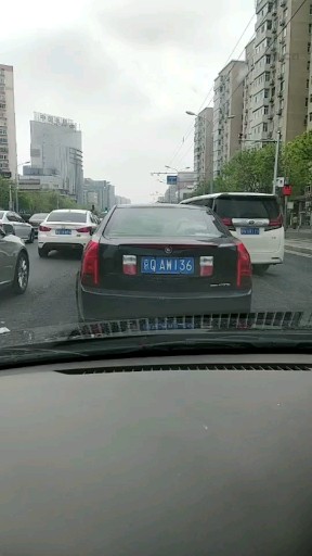 战友向导车《威武霸气》