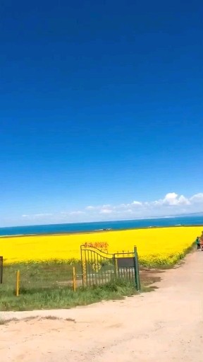 诚信经营