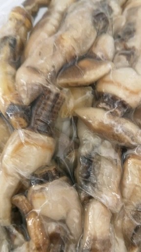 蛏王肉四斤148包由