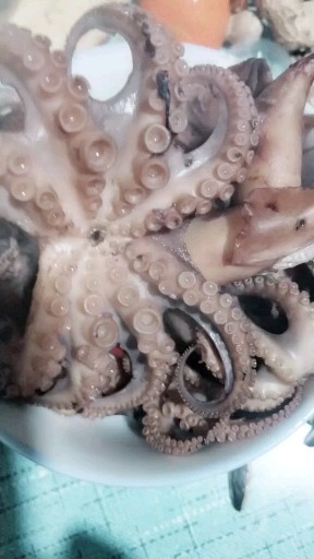 八爪鱼四斤148包由，海红二十