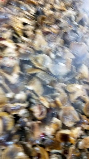 刚出锅的香罗肉，喜欢吃双击关注