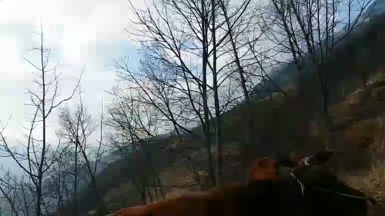 好