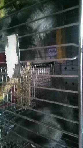 旅游途中 休息一下 开吃