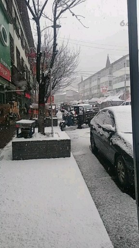 雪真大呀