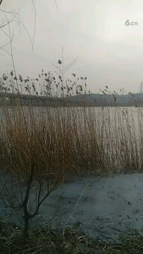 夕阳西下 旅游途中