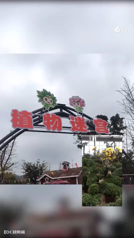 元宵快乐