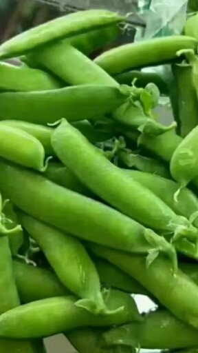 甘肃天祝旅游之地