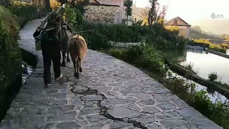 云南红河枫景