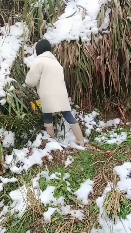😂❄