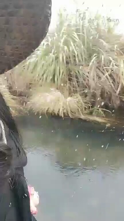 好看