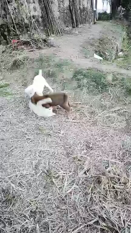 😂😂