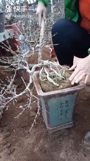 花桥流水