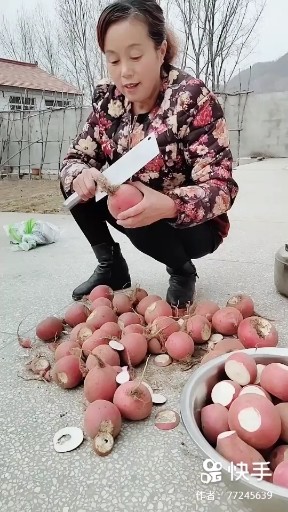 李家屯的李妈妈3