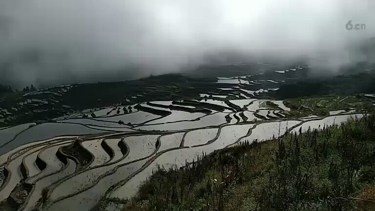 梯田