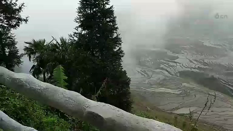 云南梯田