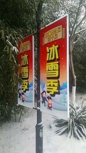 2019年北京第一场雪《美》