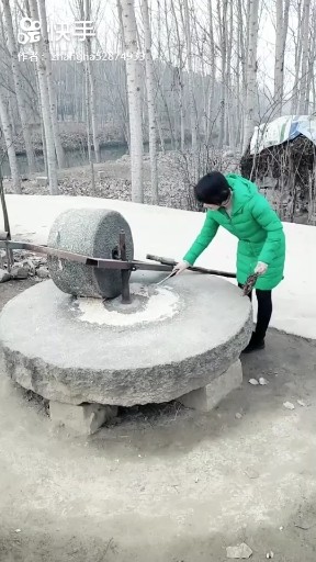 改革春风吹