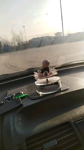 花瓶 好好学吧交给你了