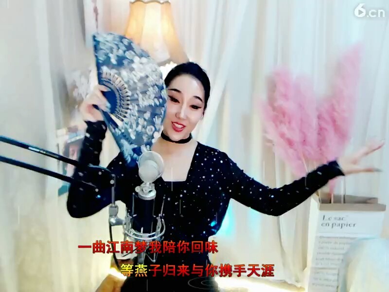少龙