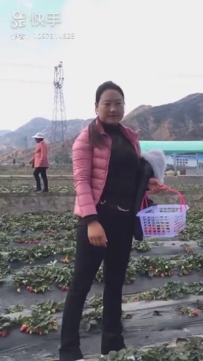 拥抱明天