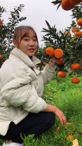 渡红尘