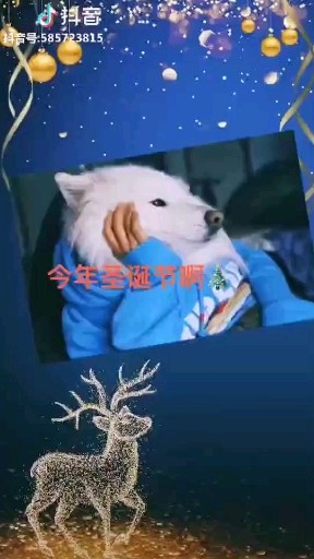 不能让我一个人单身啊
